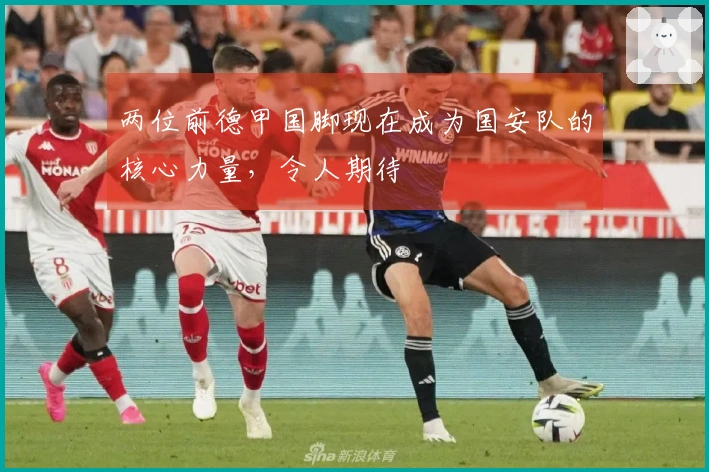 两位前德甲国脚现在成为国安队的核心力量，令人期待