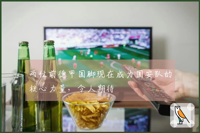 两位前德甲国脚现在成为国安队的核心力量，令人期待